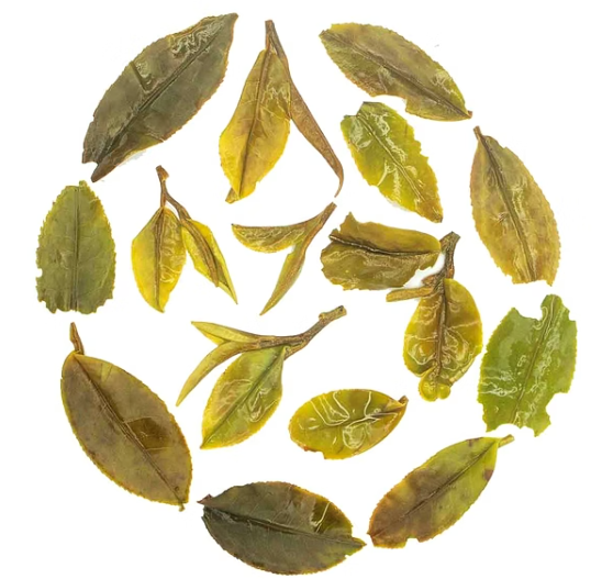Darjeeling First Flush Oolong Tea 2026 | Herbaceous Spring Delight | Rare 100% Whole Leaf Tea | Full